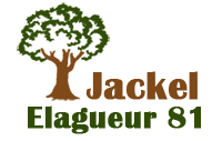 elagage-jackel-elagueur