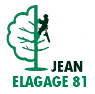 elagage-jean-elagage